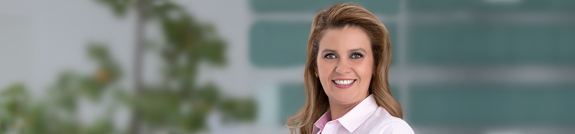 Licenciatura en Derecho